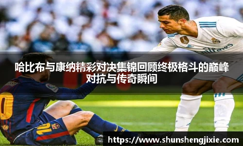 哈比布与康纳精彩对决集锦回顾终极格斗的巅峰对抗与传奇瞬间