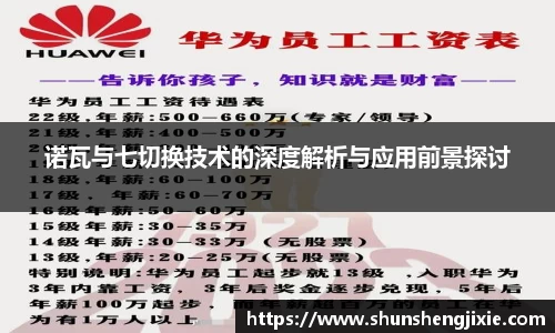 诺瓦与七切换技术的深度解析与应用前景探讨