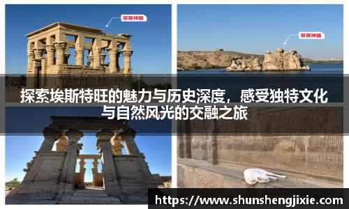 意昂体育官网